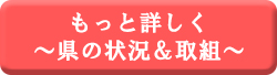 もっと詳しく～県の現状＆取組～